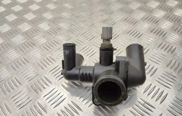 Thermostat/thermostat housing