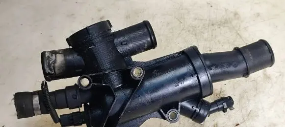 Thermostat/thermostat housing
