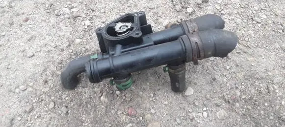 Thermostat/thermostat housing