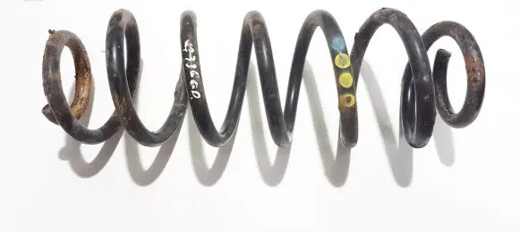 Rear coil spring