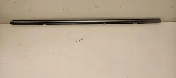 Hyundai i30 Rear door trim (molding)