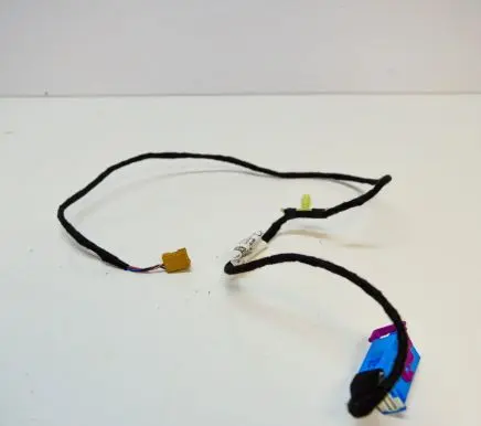 Front door wiring loom
