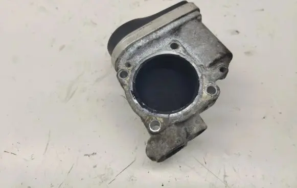 Volkswagen PASSAT B6 Throttle valve 06F133062 408238327003 052911