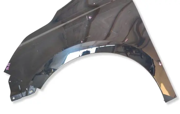 Renault Kangoo III Fender 