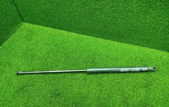 Renault Arkana Tailgate/trunk strut/damper 904520237R