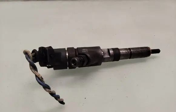 Fiat Scudo Fuel injector 0445110076