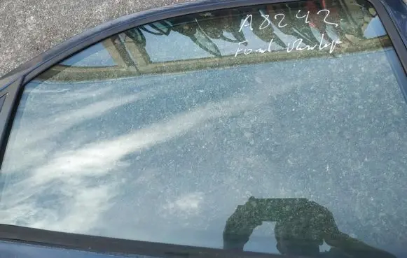 Rear door window glass