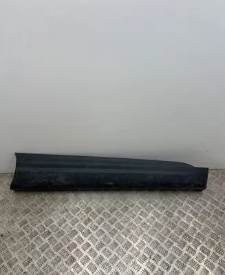 Front door trim (molding)