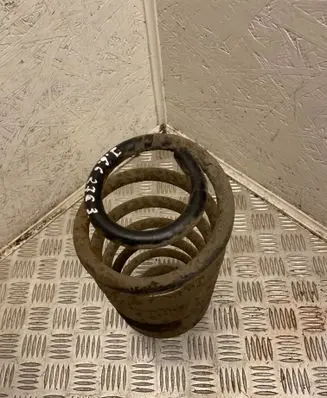 Rear coil spring