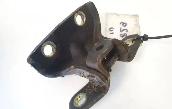 Hyundai Sonata Rear door lower hinge