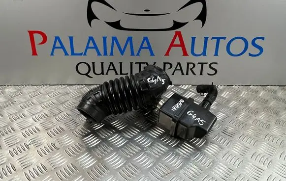 Nissan Qashqai Air intake hose/pipe 1022251S01