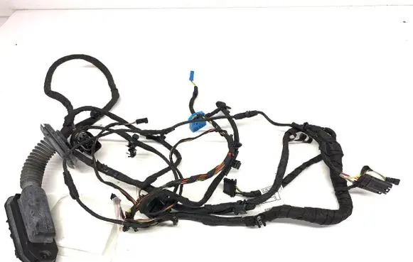 BMW 6 F06 Gran coupe Rear door wiring loom 9255415