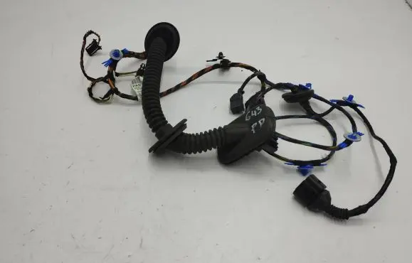 Front door wiring loom