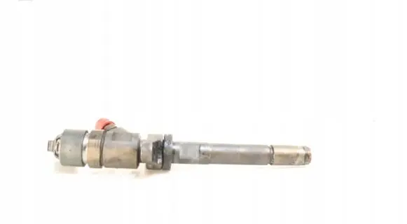 Ford Focus Fuel injector 045110259