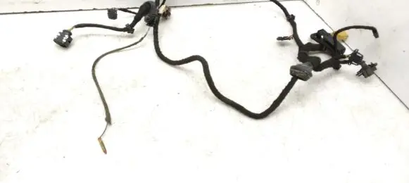Front door wiring loom