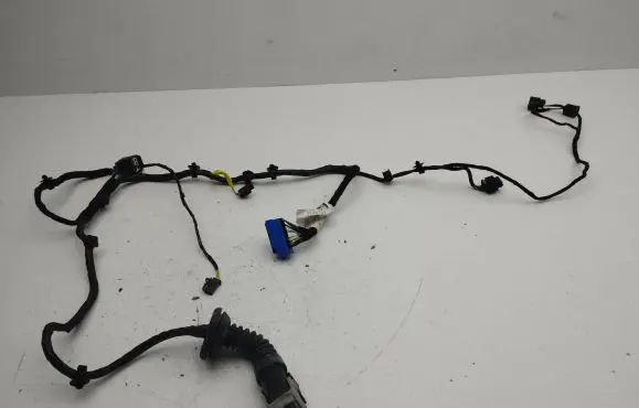 Maserati Ghibli Front door wiring loom 06700066670