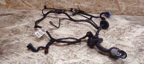 Cadillac SRX Front door wiring loom Z69029584 20789584