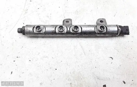 Citroen C5 Fuel main line pipe 0445216030