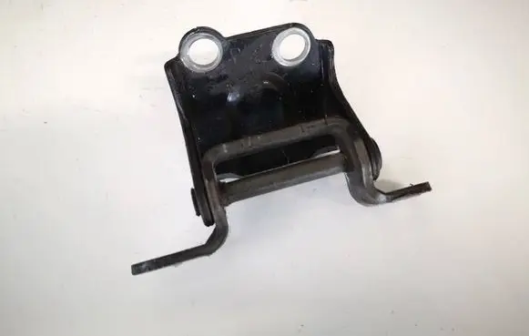 Rear door lower hinge