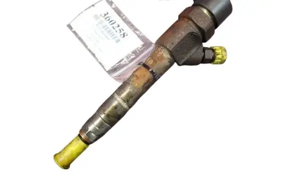 Renault Megane II Fuel injector 0445110110B