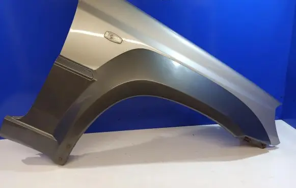 Hyundai Terracan Fender 66320H1910