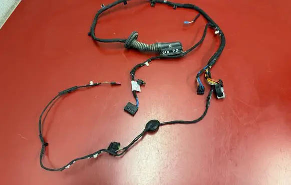 BMW X1 U11 Front door wiring loom 5B32190 5B32193