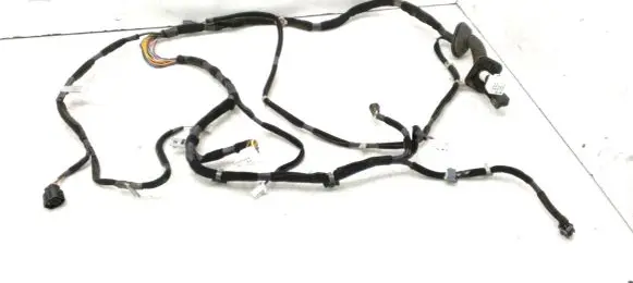 Front door wiring loom