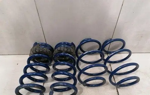 Ford Mustang VI Rear coil spring 3965550