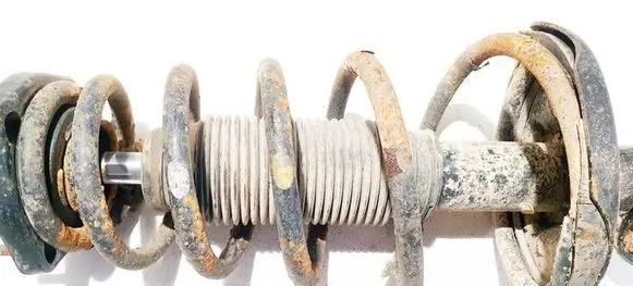 Rear coil spring