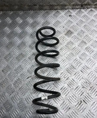 Rear coil spring