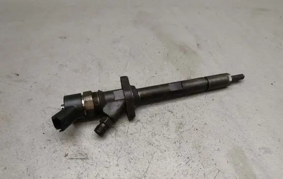 Citroen C5 Fuel injector 0445110036 9637277980
