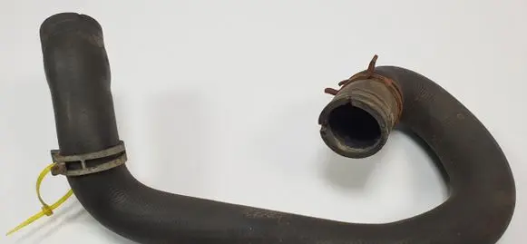 Ford Focus Engine coolant pipe/hose