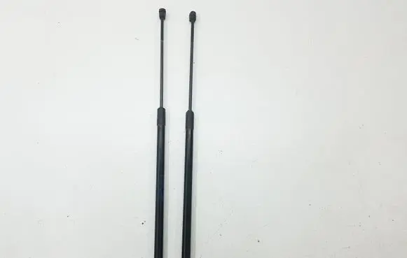 Ford C-MAX II Tailgate/trunk strut/damper AM51R406A10AB