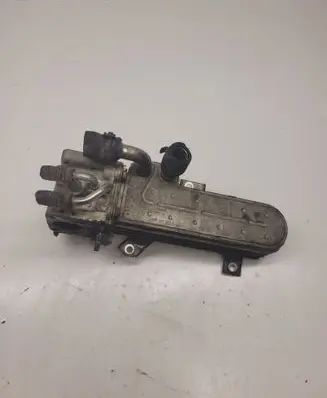 Volkswagen Golf V EGR valve cooler 038131513D