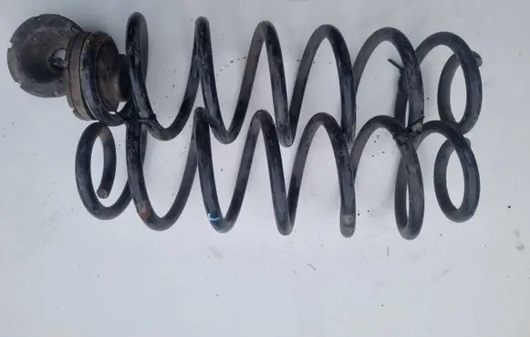 Skoda Octavia Mk2 (1Z) Rear coil spring