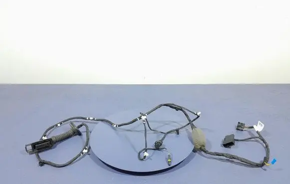BMW X5 E53 Other wiring loom 8779817