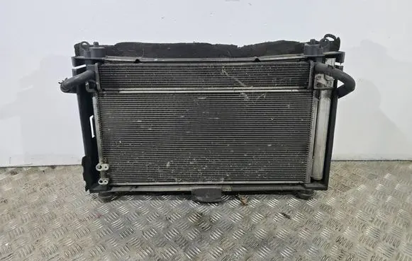 Toyota Prius (XW30) Radiator set 1002221377