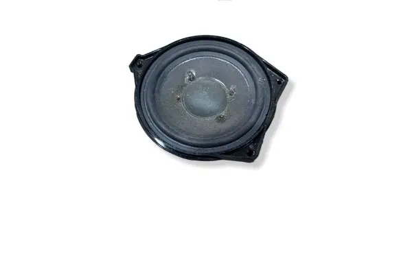 Panel speaker