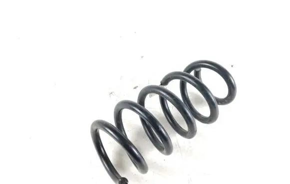 Tesla Model Y Rear coil spring 228847400A