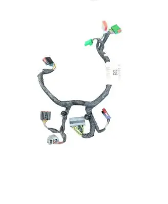 Other wiring loom