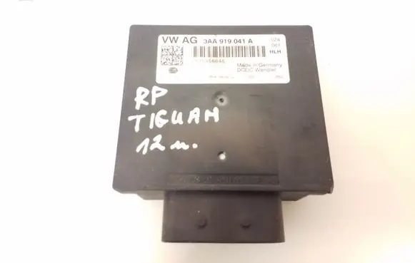Volkswagen Tiguan Other control units/modules 3AA919041A 0175956648