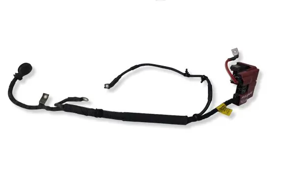 Opel Mokka Positive cable (battery) 95423230
