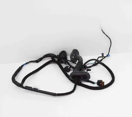Tesla Model 3 Rear door wiring loom 206796500A