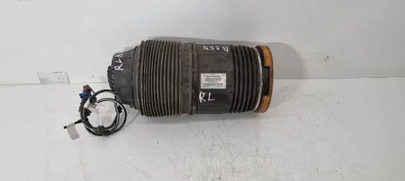 Bentley Continental Shock absorber/damper/air suspension 971616025E