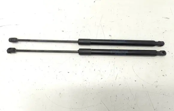 Ford B-MAX Tailgate/trunk strut/damper AV11R406A10AB