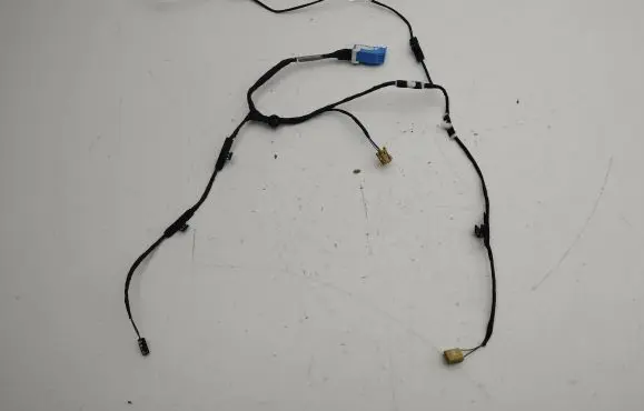 Front door wiring loom