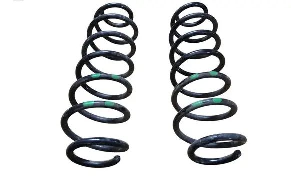 Rear coil spring