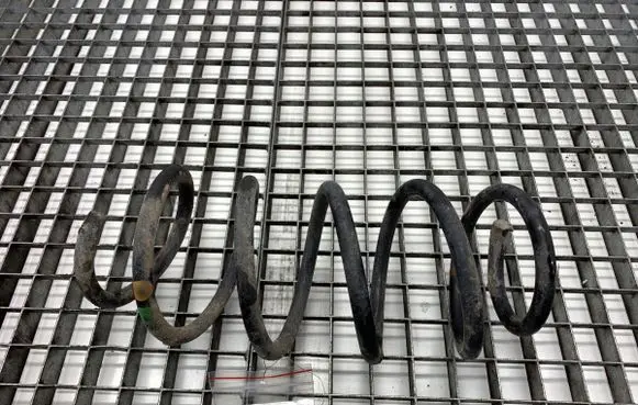 Volkswagen PASSAT B6 Front coil spring