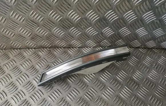 Volkswagen PASSAT B6 Front indicator light 3C0953041L 3C0807717C