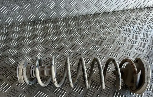 Renault Megane II Rear coil spring